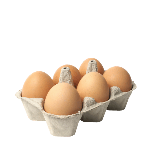 bio eieren